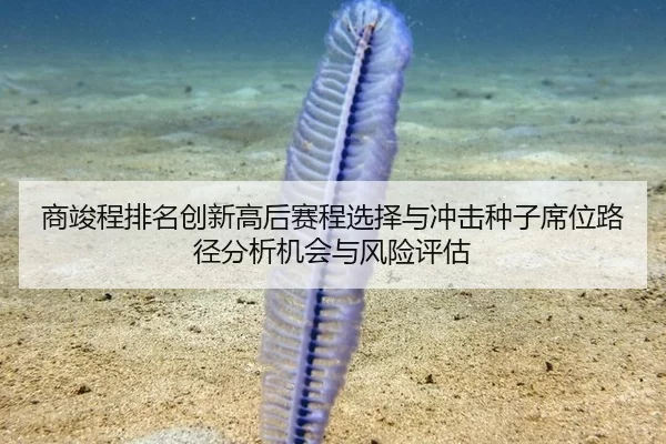商竣程排名创新高后赛程选择与冲击种子席位路径分析机会与风险评估